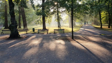 Attraktivierung des Fuß- und Radverkehrs im Clara-Zetkin-Park, Johannapark und Palmengarten